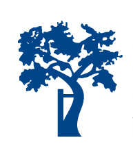 NOVlogo FB